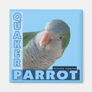 Quäkerparakeet-Foto Magnet