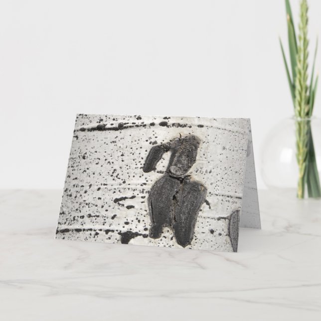 Quaking Aspen Bark Foto gefiltert Leere Inside Karte (Vorderseite)