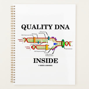 Qualitativ hochwertige DNA innerhalb der DNA Repli Planer