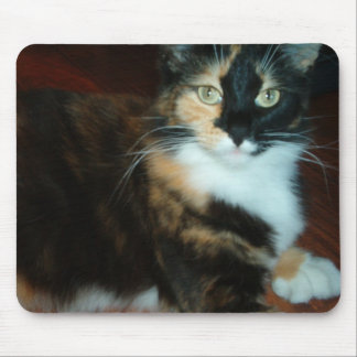 Qualitäts-Mausunterlage Fräuleins Calico Kitty Mousepad