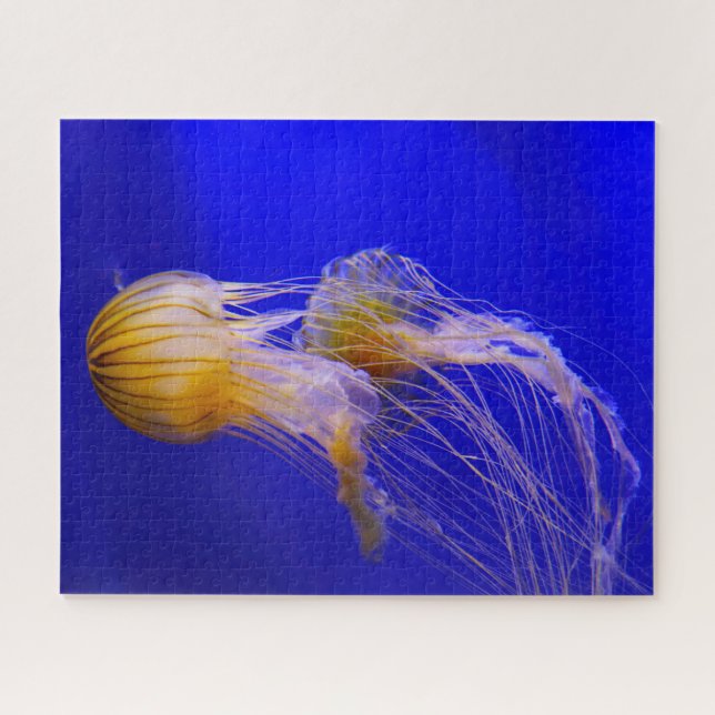 Qualle (Horizontal)