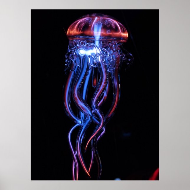 Qualle-113384 PHANTASTISCHE FOTOGRAFIE MEERESWELT  Poster (Vorne)