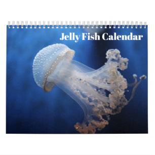 Qualle 2027 kalender