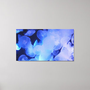 Qualle auf Leinwand 20 "x 16"