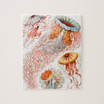 Qualle, Discomedusae von Ernst Haeckel<br><div class="desc">Quallen,  Discomedusae Scheibenquallen von Ernst Haeckel Jigsaw Puzzle.</div>