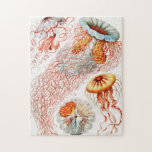 Qualle, Discomedusae von Ernst Haeckel<br><div class="desc">Quallen,  Discomedusae Scheibenquallen von Ernst Haeckel Jigsaw Puzzle.</div>