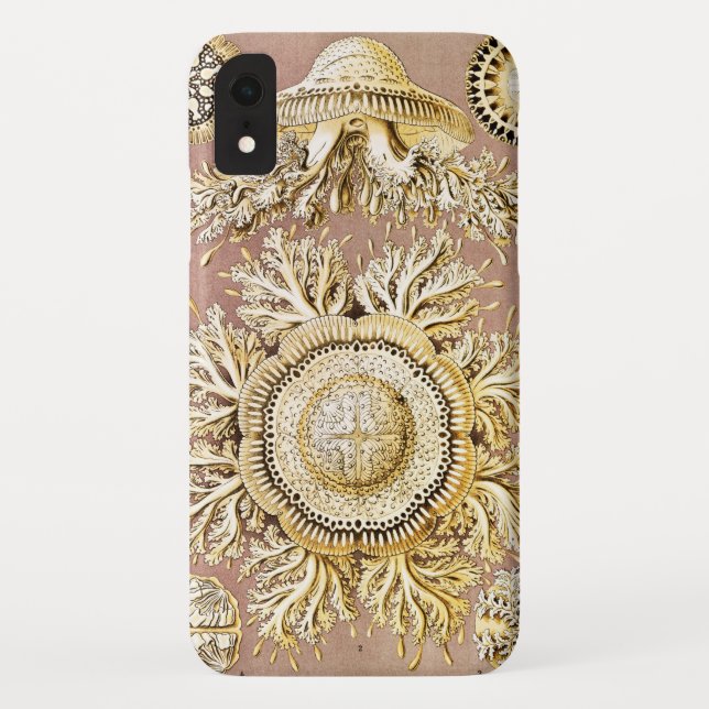 Qualle, Discomedusae von Ernst Haeckel Case-Mate iPhone Hülle (Rückseite)