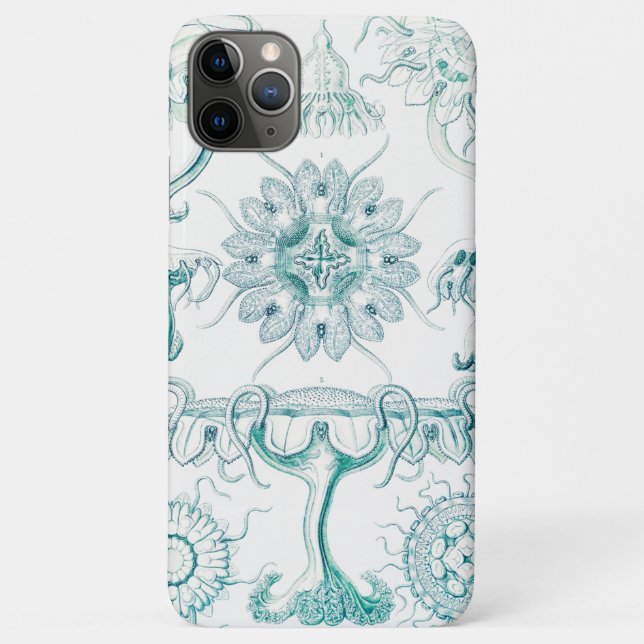 Qualle, Discomedusae von Ernst Haeckel Case-Mate iPhone Hülle (Rückseite)
