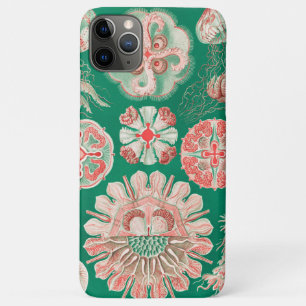 Qualle, Discomedusae von Ernst Haeckel Case-Mate iPhone Hülle