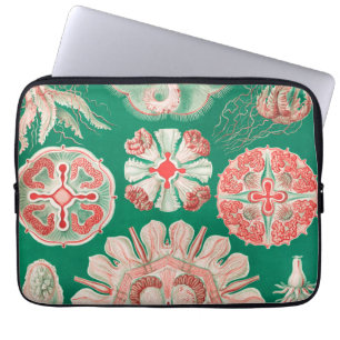 Qualle, Discomedusae von Ernst Haeckel Laptopschutzhülle