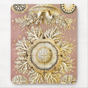 Qualle, Discomedusae von Ernst Haeckel Mousepad