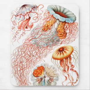 Qualle, Discomedusae von Ernst Haeckel Mousepad