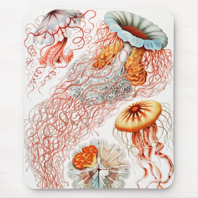 Qualle, Discomedusae von Ernst Haeckel Mousepad (Vorne)
