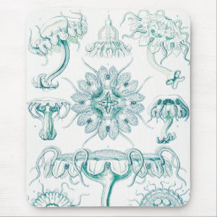 Qualle, Discomedusae von Ernst Haeckel Mousepad