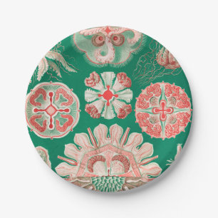 Qualle, Discomedusae von Ernst Haeckel Pappteller