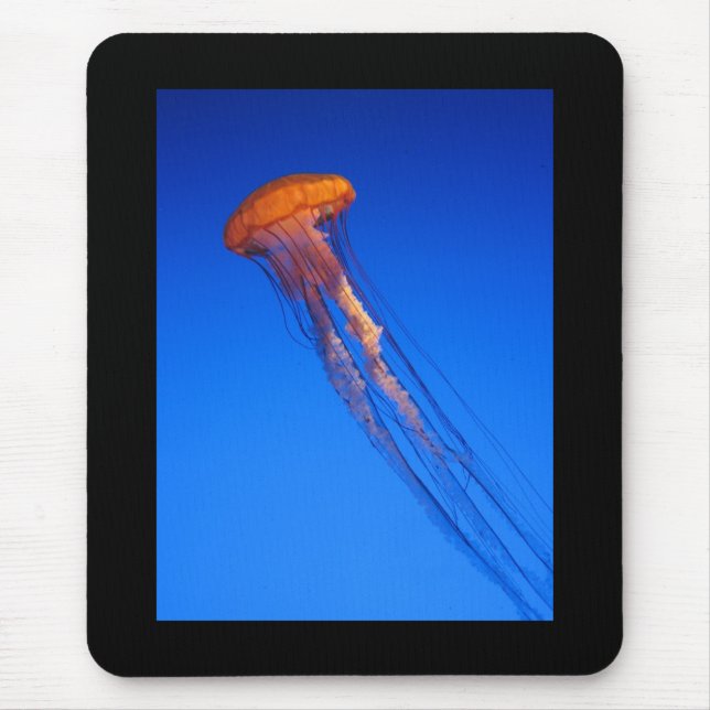 Qualle Mousepad (Vorne)