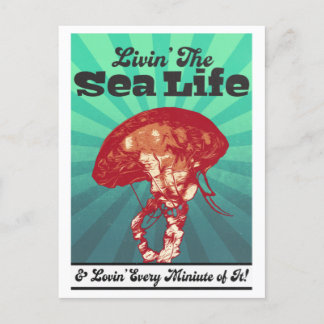 Qualle Sea Life Postkarte