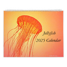 Quallen 2025 Kalender