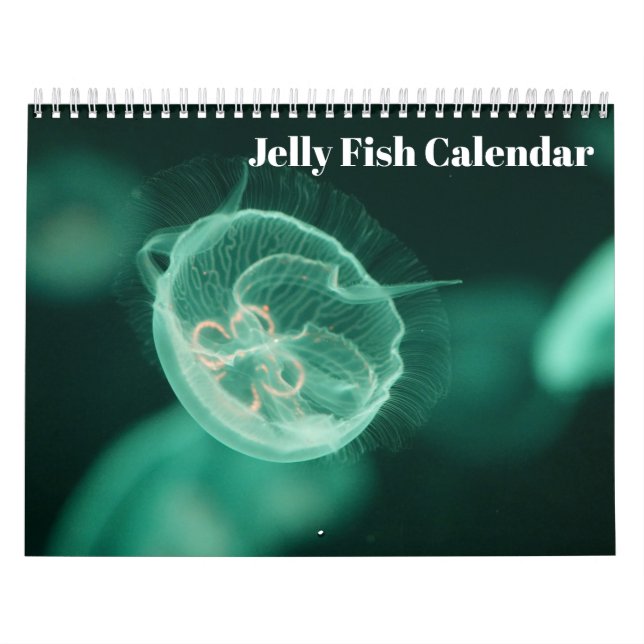 Quallen 2025 kalender (Titelbild)