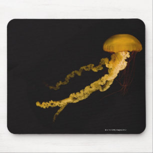 Quallen 2 mousepad