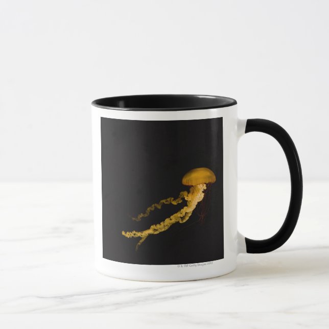 Quallen 2 tasse (Rechts)