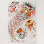 Quallen, Discomedusae von Ernst Haeckel<br><div class="desc">Quallen,  Discomedusae Scheibenquallen von Ernst Haeckel Jigsaw Puzzle.</div>