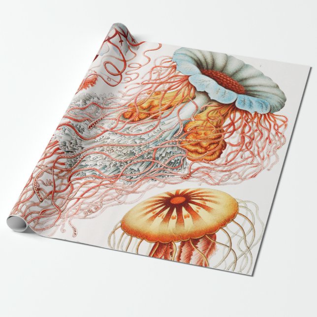 Quallen, Discomedusae von Ernst Haeckel Geschenkpapier (Ungerollt)