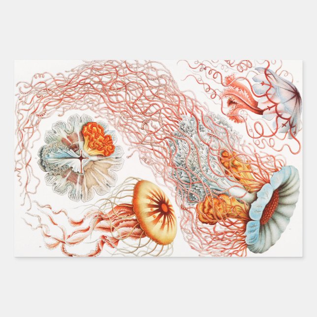 Quallen, Discomedusae von Ernst Haeckel Geschenkpapier Set (Vorderseite)