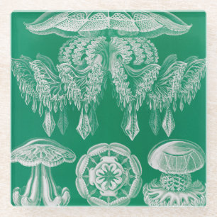 Quallen, Discomedusae von Ernst Haeckel Glasuntersetzer