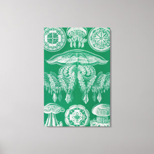 Quallen, Discomedusae  von Ernst Haeckel Leinwanddruck