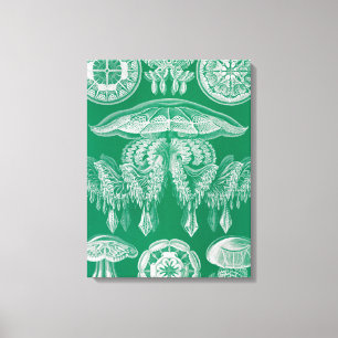 Quallen, Discomedusae  von Ernst Haeckel Leinwanddruck