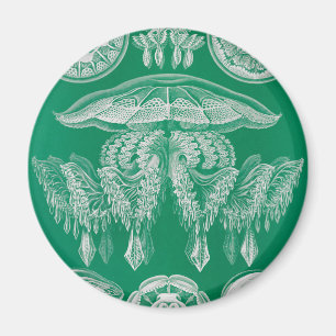Quallen, Discomedusae von Ernst Haeckel Magnet