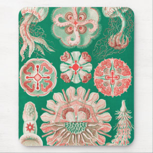 Quallen, Discomedusae von Ernst Haeckel Mousepad