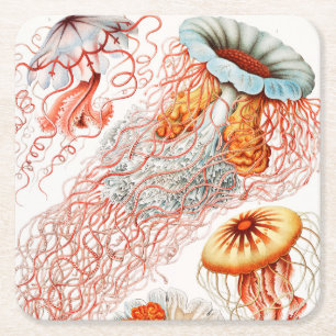 Quallen, Discomedusae von Ernst Haeckel Rechteckiger Pappuntersetzer