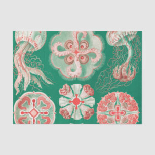 Quallen, Discomedusae von Ernst Haeckel Seidenpapier