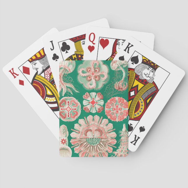 Quallen, Discomedusae von Ernst Haeckel Spielkarten (Rückseite)