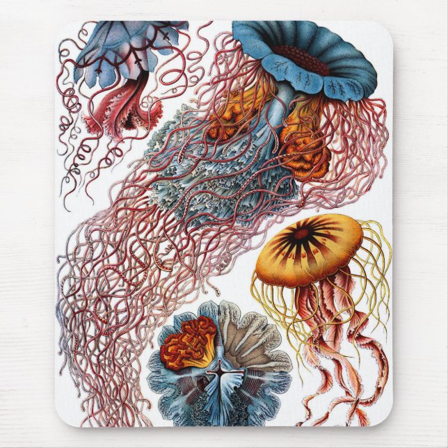 Quallen durch Ernst Haeckel Mousepad (Vorne)