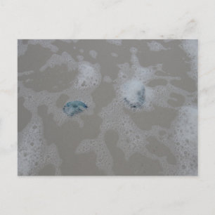 Quallen in der Brandungsstrandfotografie Postkarte