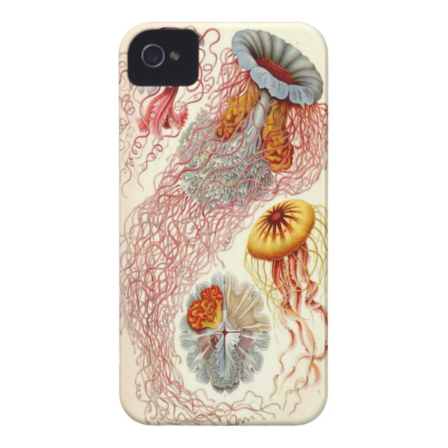 Quallen iPhone 4/4s Hülle (Rückseite)