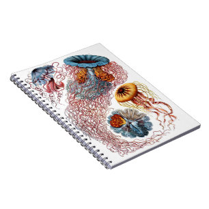 Quallen Journal Notizblock