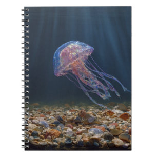 Quallen mit Seashell Ocean Notebook Notizblock