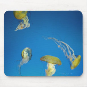 Quallen Mousepad