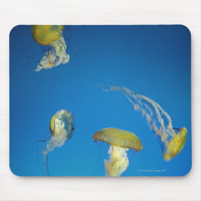 Quallen Mousepad (Vorne)