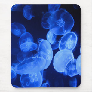 Quallen, Natur, Seegelee Mousepad