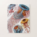 Quallen (Scheibenquallen) von Ernst Haeckel<br><div class="desc">Bitte besuchen Sie meinen Laden für mehr interessantes Design und mehr Farbwahl.
=> zazzle.com/colorfulworld*</div>