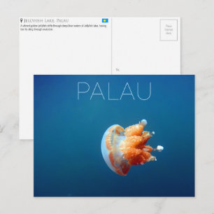 Quallen-See, Palau Reise-Postkarte Postkarte