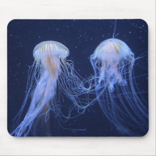 Quallen, Tiere, Unterwasser Mousepad