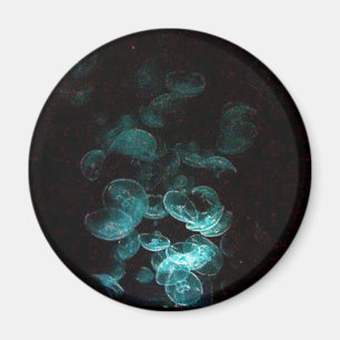 Quallen unter blacklight magnet
