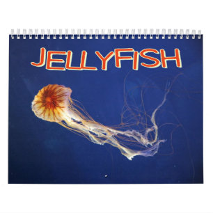 Quallen-Wandkalender Kalender
