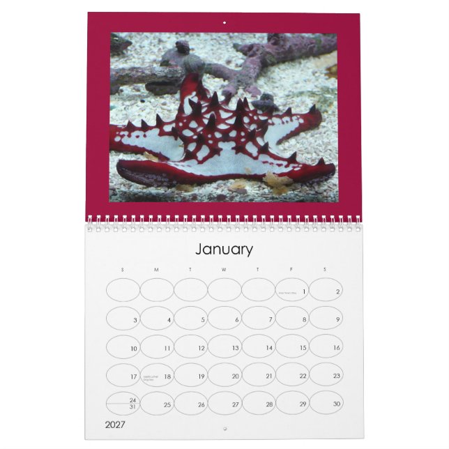Quallenabdeckungskalender Kalender (Jan 2027)